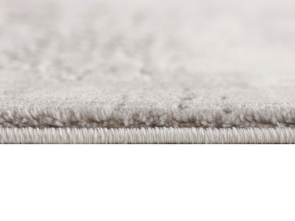 Allure:6649 Grey Area Rug