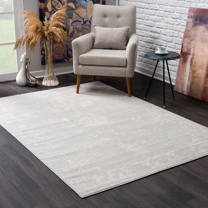 Casper:9999 Grey Area Rug