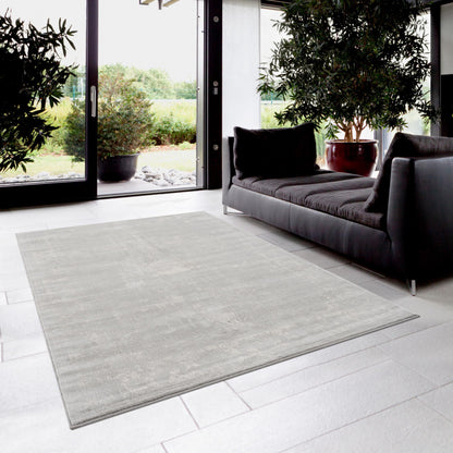 Casper:9999 Grey Area Rug